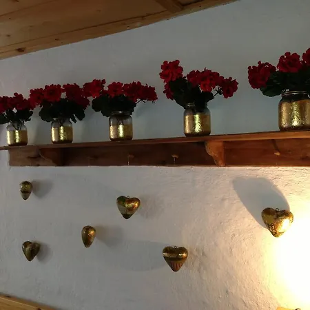 Gæstehus Dimmi House *