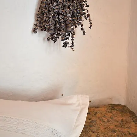 Dimmi House ليشتين