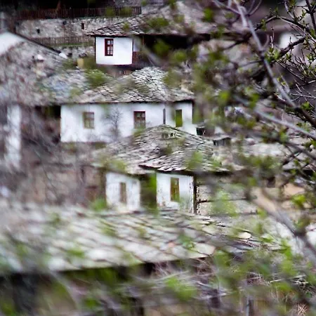 Gæstehus Dimmi House *